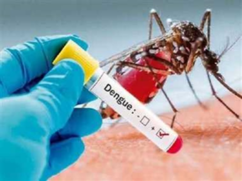 Dengue in Bhopal: सितंबर में डेंगू मरीजों का आंकड़ा 200 के पार, 12 नए मरीज मिले