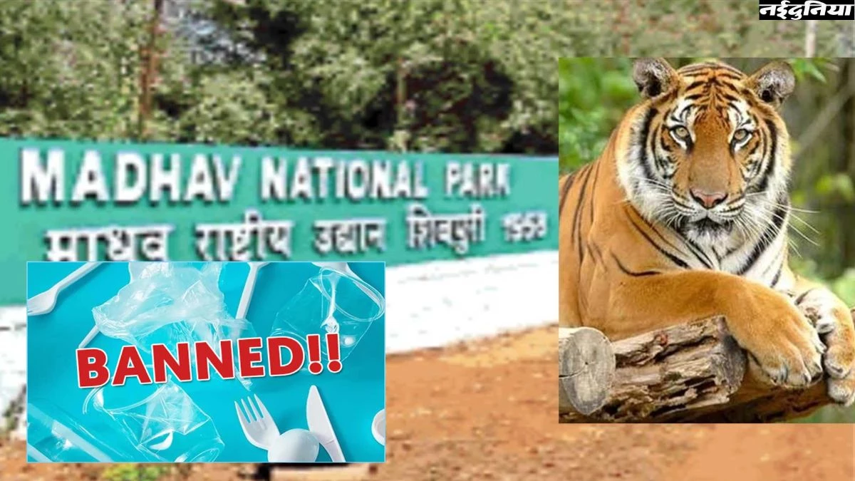 MP के राष्ट्रीय उद्यानों और टाइगर रिजर्वों में सिंगल यूज प्लास्टिक पर प्रतिबंध, 5000 तक लग सकता है जुर्माना