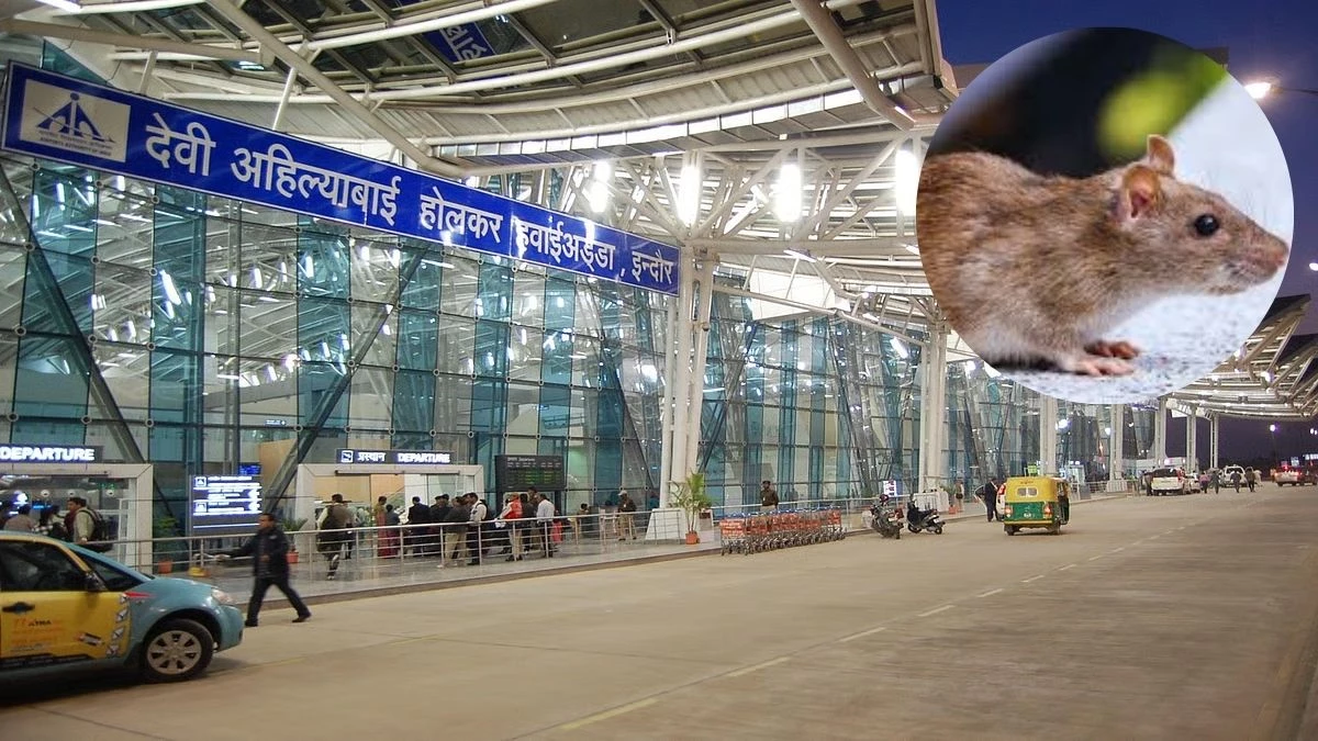 अब इंदौर एयरपोर्ट पर यात्री को चूहे ने काटा, समय पर इलाज न करने वाले डॉक्टर को हटाया गया