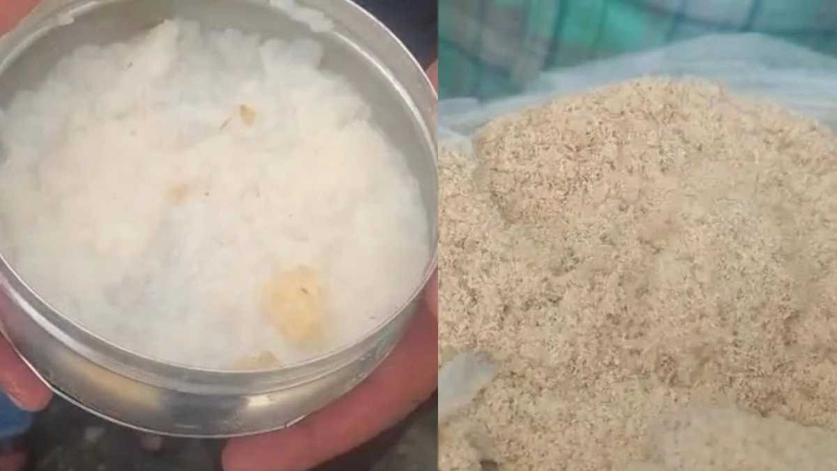 छिंदवाड़ा में बच्चों की जान से खिलवाड़, मिड-डे मील की खीर में मिलीं इल्लियां और लार्वा, लोगों में जमकर गुस्सा