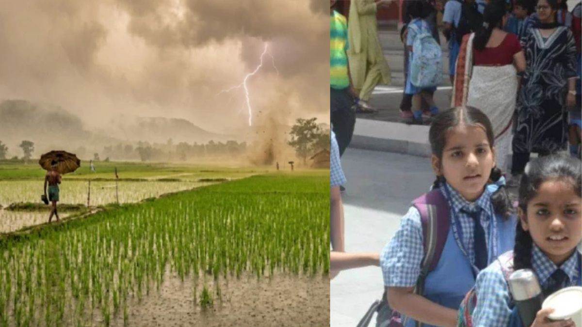 आज बस्तर के सभी स्कूलों की छुट्टी, DM ने लगातार हो रही तेज बारिश के कारण लिया फैसला