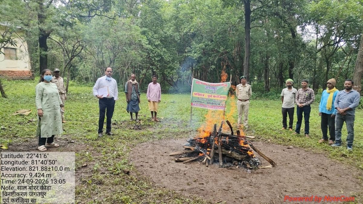 डिंडौरी में 19 लाख से अधिक कीटों को जलाया, पढ़ें 27 साल बाद विभाग ने ऐसा क्याें किया