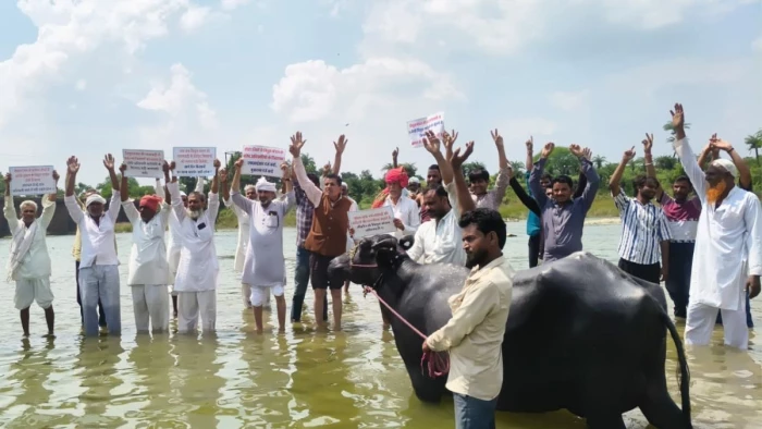 पार्वती नदी में भैंसों के आगे न्याय की गुहार, झूलती बिजली लाइनों को लेकर 500 से ज्यादा किसानों का जल सत्याग्रह