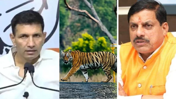 कोयला खदान पर सियासी संग्राम, टाइगर कॉरिडोर को लेकर जीतू पटवारी ने MP सरकार से मांगा जवाब
