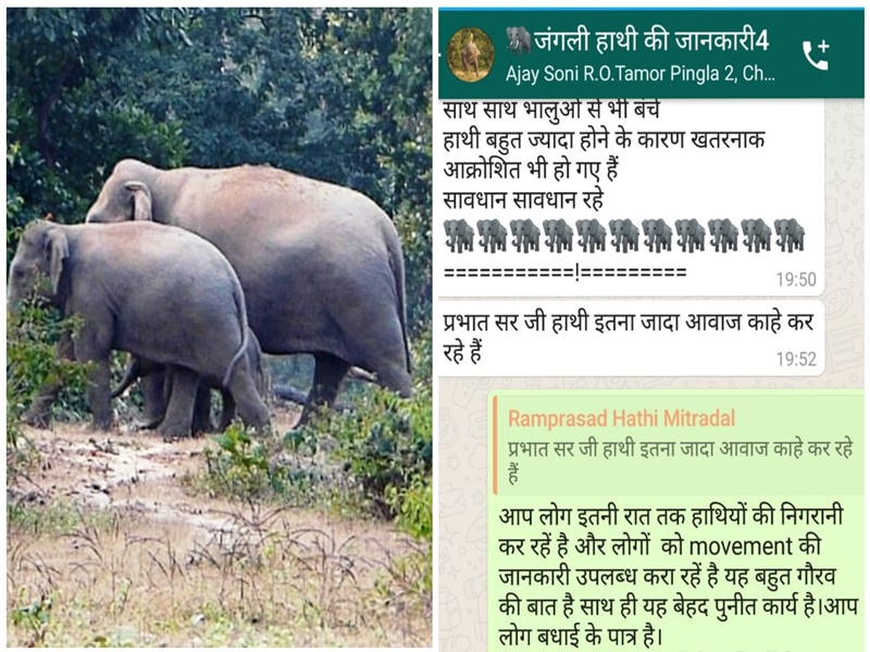 Chhattisgarh News Avoiding Elephants The Youth Of Chhattisgarh Made Social Media A Shield Success Was Getting