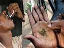 धार जिले के 200 स्कूलों के शिक्षकों को तंबाकू की आदत से मुक्त करने की कवायद