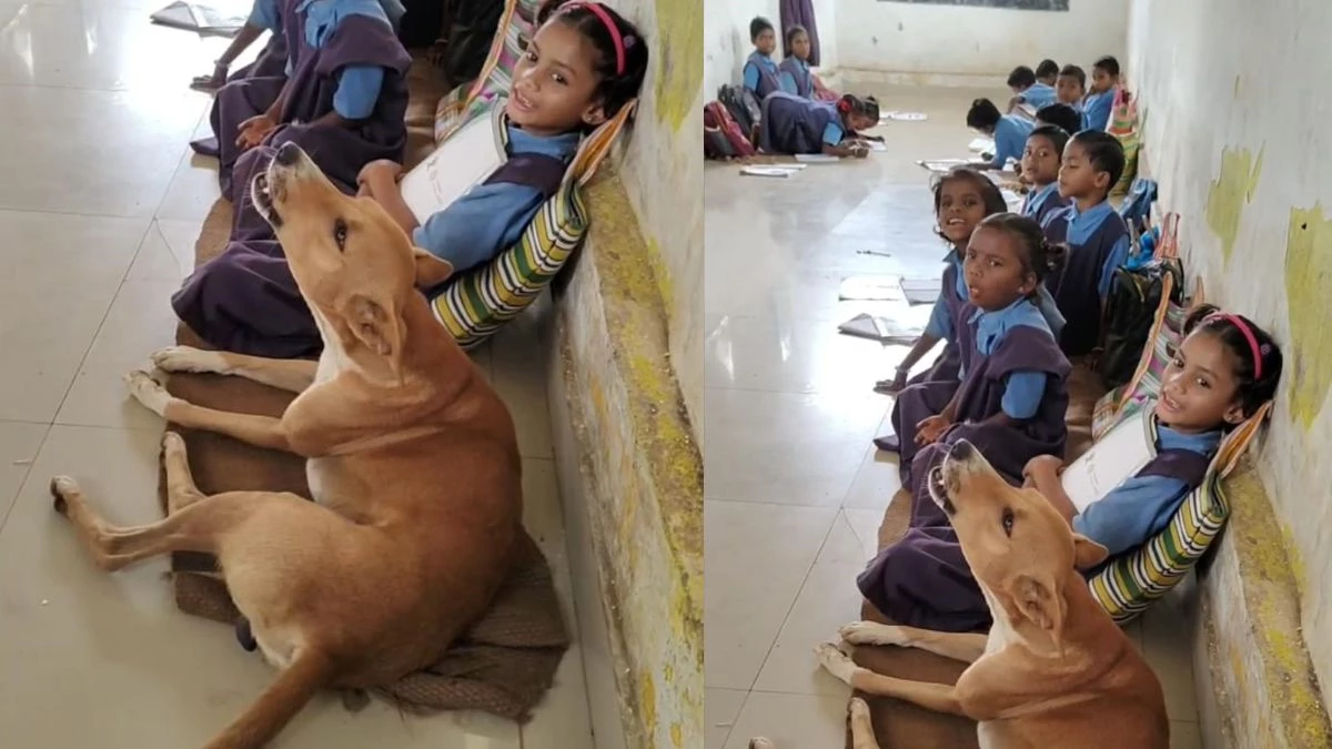 Chhattisgarh के स्कूल में बच्चों संग स्वर मिलाता एक कुत्ता, शिक्षा विभाग बेचैन, देखें Viral Video