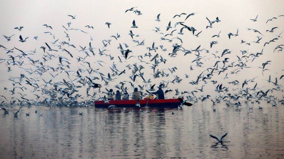 देशभर में कड़ाके की सर्दी के साथ इन राज्यों में आज होगी भारी बारिश, IMD ने जारी किया अलर्ट