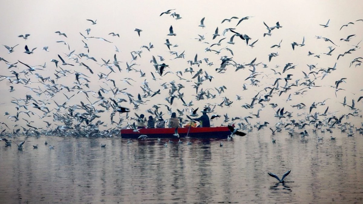 देशभर में कड़ाके की सर्दी के साथ इन राज्यों में आज होगी भारी बारिश, IMD ने जारी किया अलर्ट