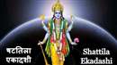 Shattila Ekadashi 2023: जानें कब है षटतिला एकादशी? भगवान विष्णु को प्रिय इस एकादशी का ये है धार्मिक महत्व