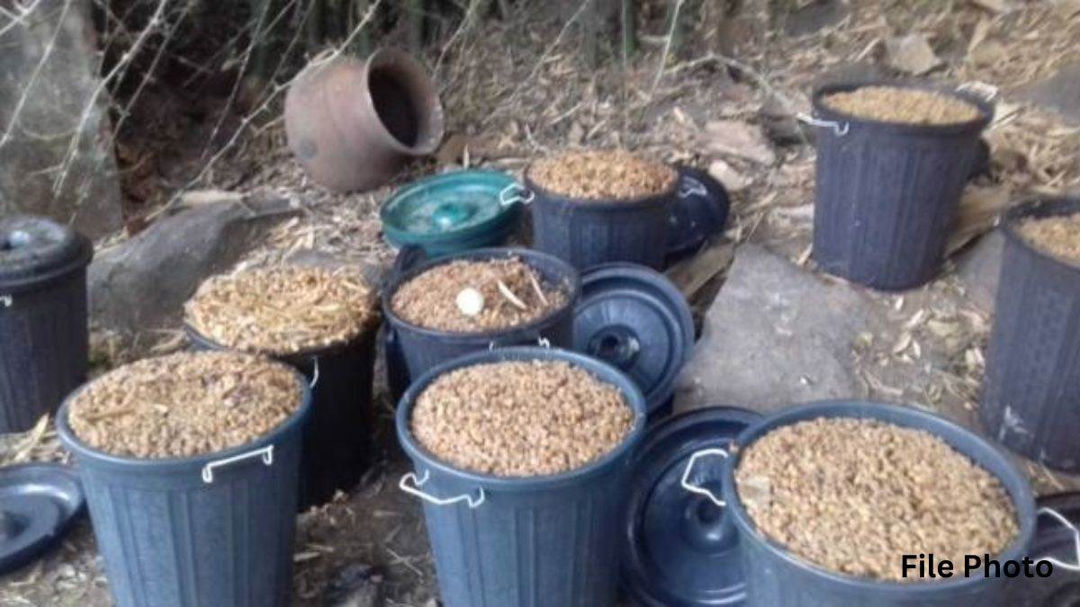 Bilaspur Crime News: महुआ शराब बनाने के लिए जलाई थी भठ्ठी, पहुंच गई आबकारी की टीम