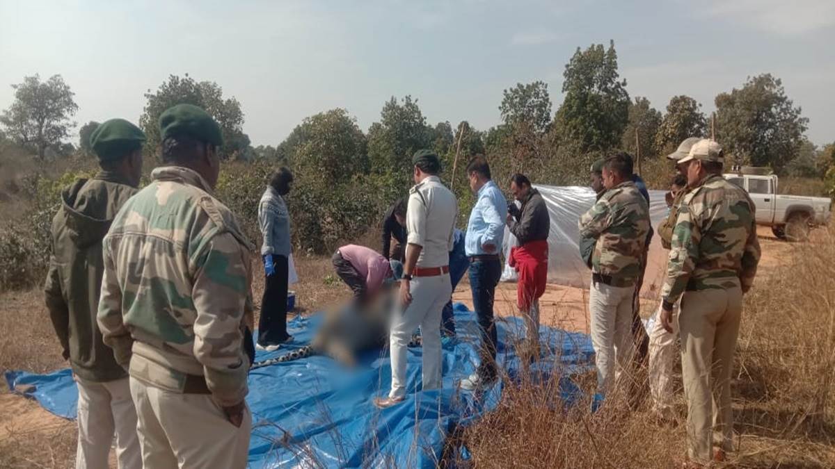 Umaria Information : बांधवगढ़ टाइगर रिजर्व में एक और मादा बाघ की मौत