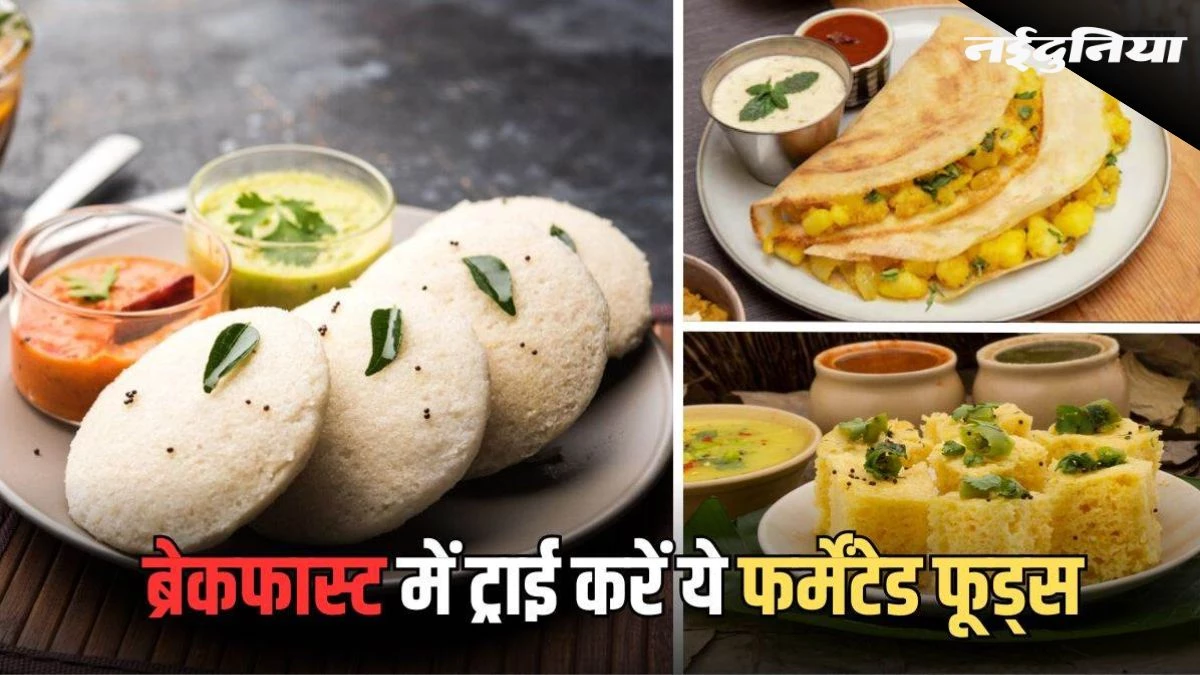 फर्मेंटेड फूड्स डेली डाइट का हैं अहम हिस्सा, टेस्ट के साथ गट हेल्थ भी कर देंगे बेहतर