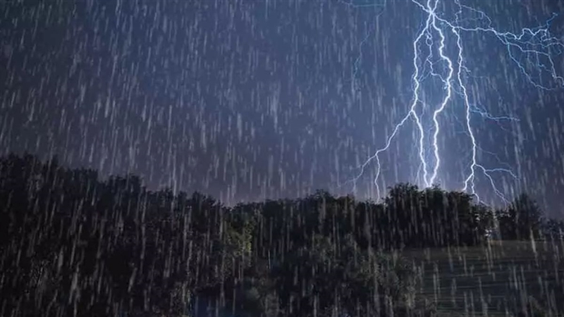 Weather News Update: Read IMD’s latest weather forecast for rain and thunderstorms across India till April 5