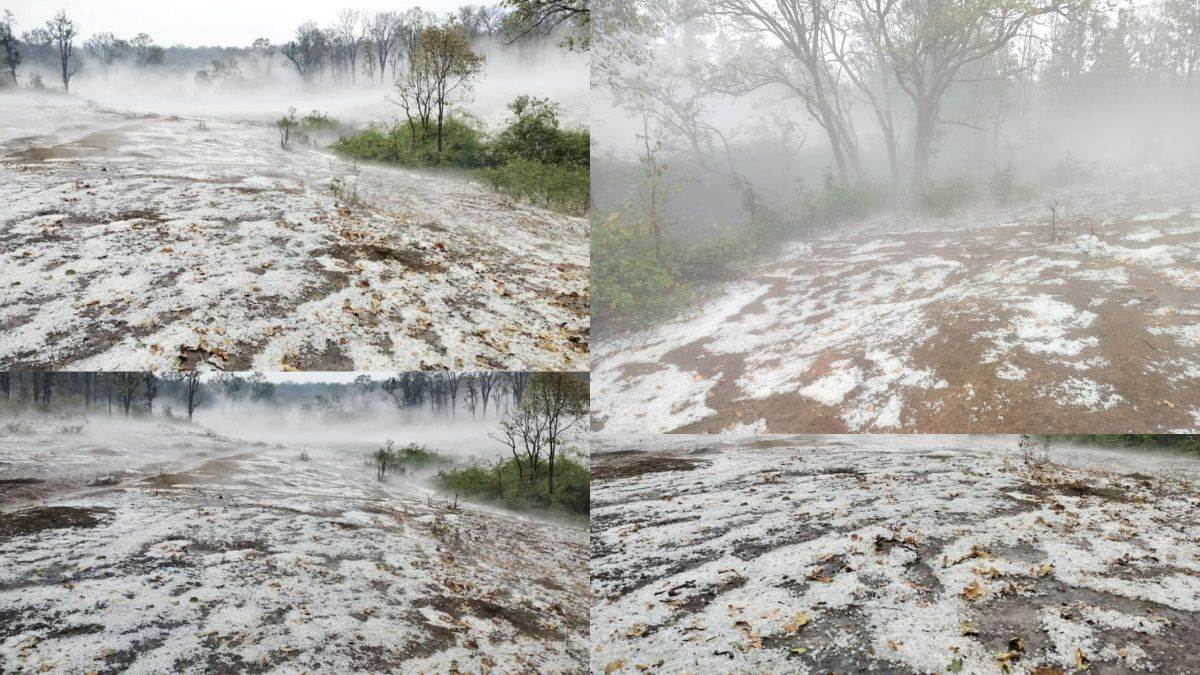 मैनपाट में बादलों ने मारी पिचकारी, गुब्बारे बने ओले, प्रकृति की दिव्यता का हुआ दर्शन