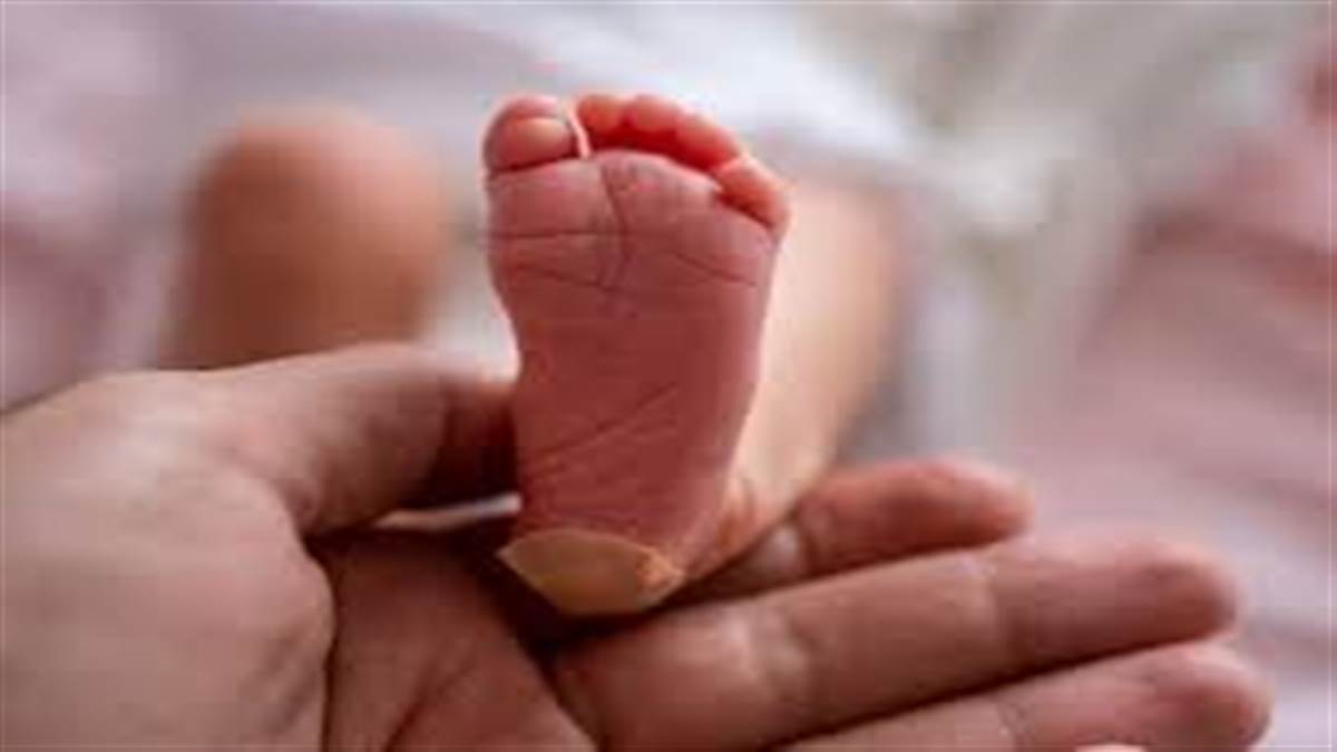 राजनांदगांव में डॉक्टरों ने नाबालिग का प्रसव कराकर बेचा बच्चा, अस्पताल संचालक समेत 10 गिरफ्तार, मास्टरमाइंड पर 5000 का इनाम