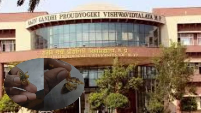 भोपाल के RGPV कैंटीन में हंगामा, छिपकली को 'शिमला मिर्च' बताकर छात्रों के सामने खा गया कर्मचारी