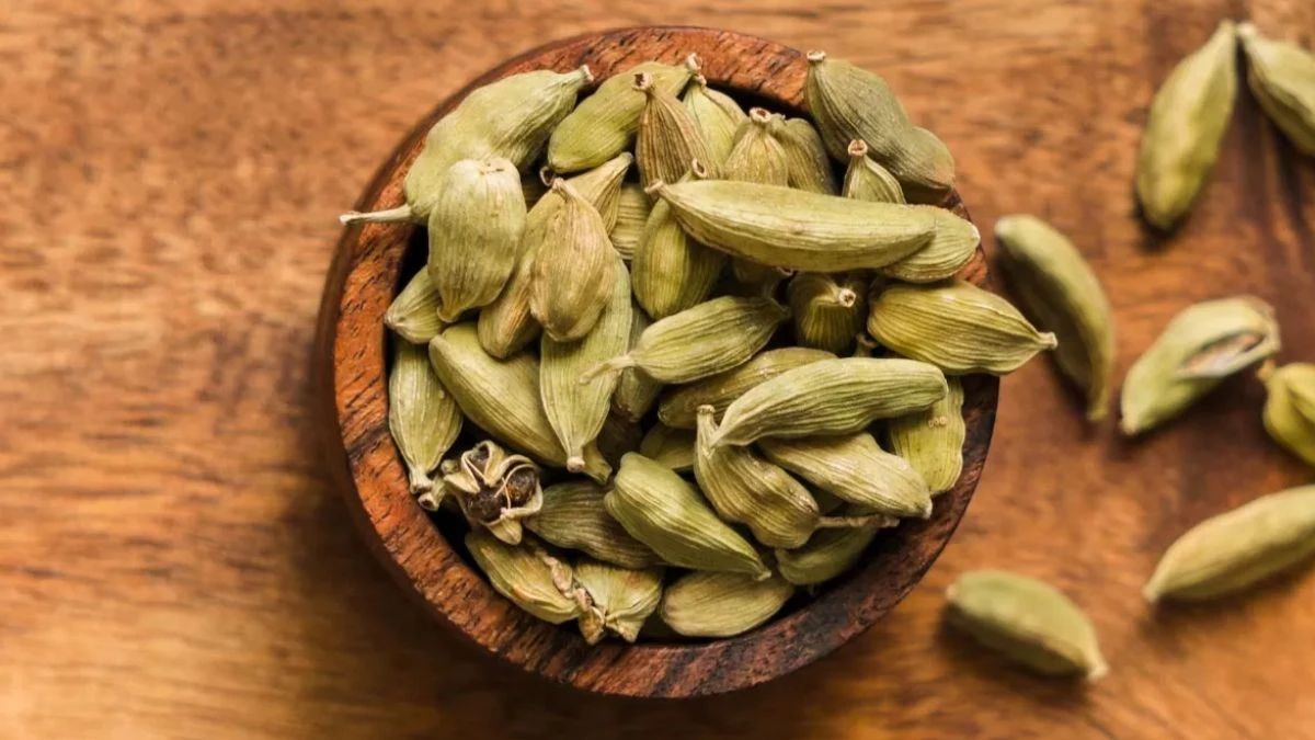 डेली सोने से पहले चबा लें एक हरी इलायची, पूरे शरीर को मिलेंगे ढेरों फायदे
