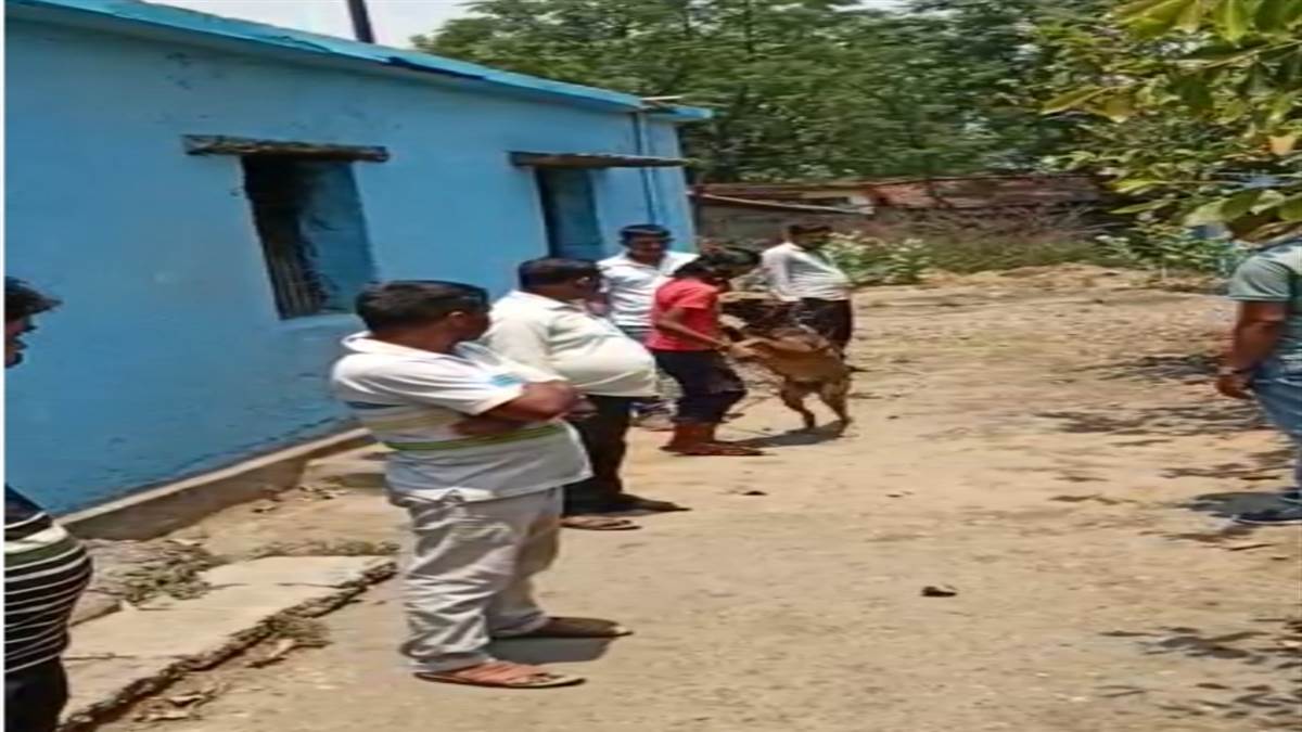 Raigarh Crime News: चिरईपानी के सरकारी स्कूल में मिली लापता बालक की लाश, चचेरी बहन पर हत्या का संदेह