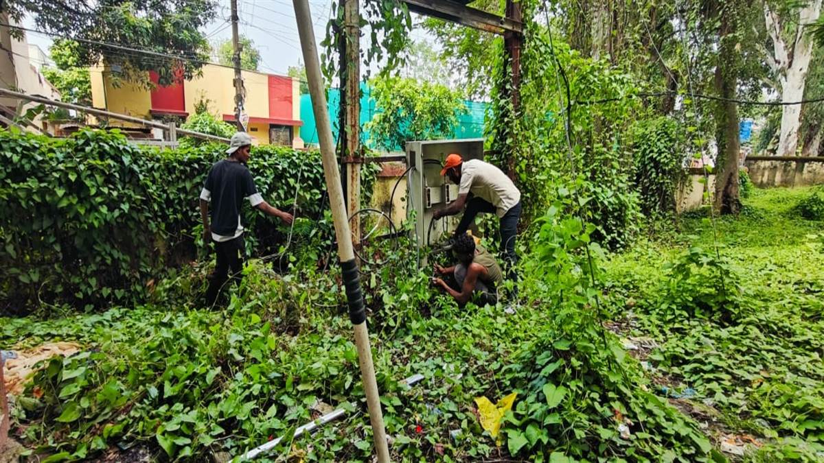 Bilaspur Information: ऐसा मेंटेनेंस- झाड़ियों से घिरा ट्रांसफार्मर, सांप देखकर डरे बिजलीकर्मी