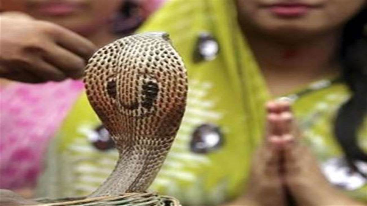 Nag Panchami Puja 2024: आ रही नागपंचमी, आज ही नोट कर लीजिए सही पूजा विधि और शुभ मुहूर्त