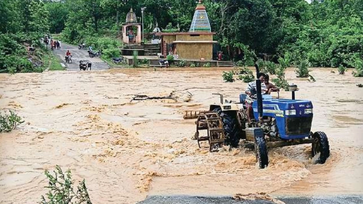 कोरबा में आफत की बारिश... 20 गांवों का संपर्क टूटा, हाथियों का खतरा बढ़ा