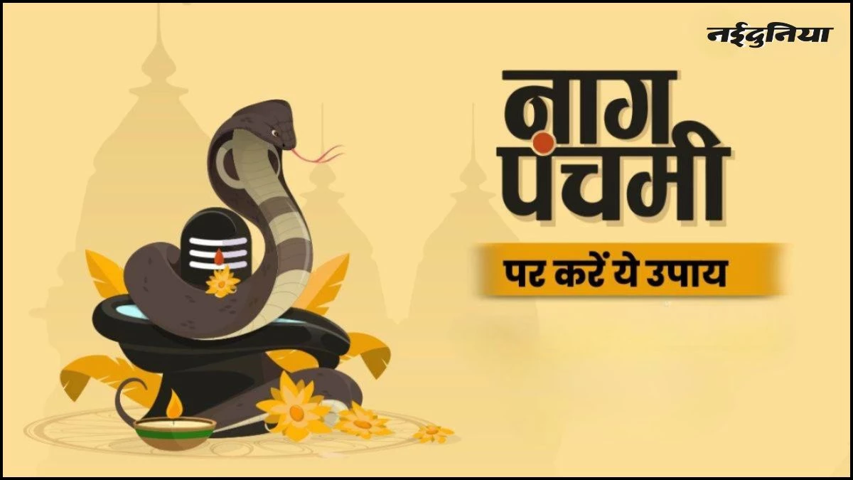 Nag Panchami 2025: नाग पंचमी पर शिवलिंग पर चढ़ाएं ये चीजें, धन की तंगी से मिलेगा छुटकारा, हो जाएंगे मालामाल