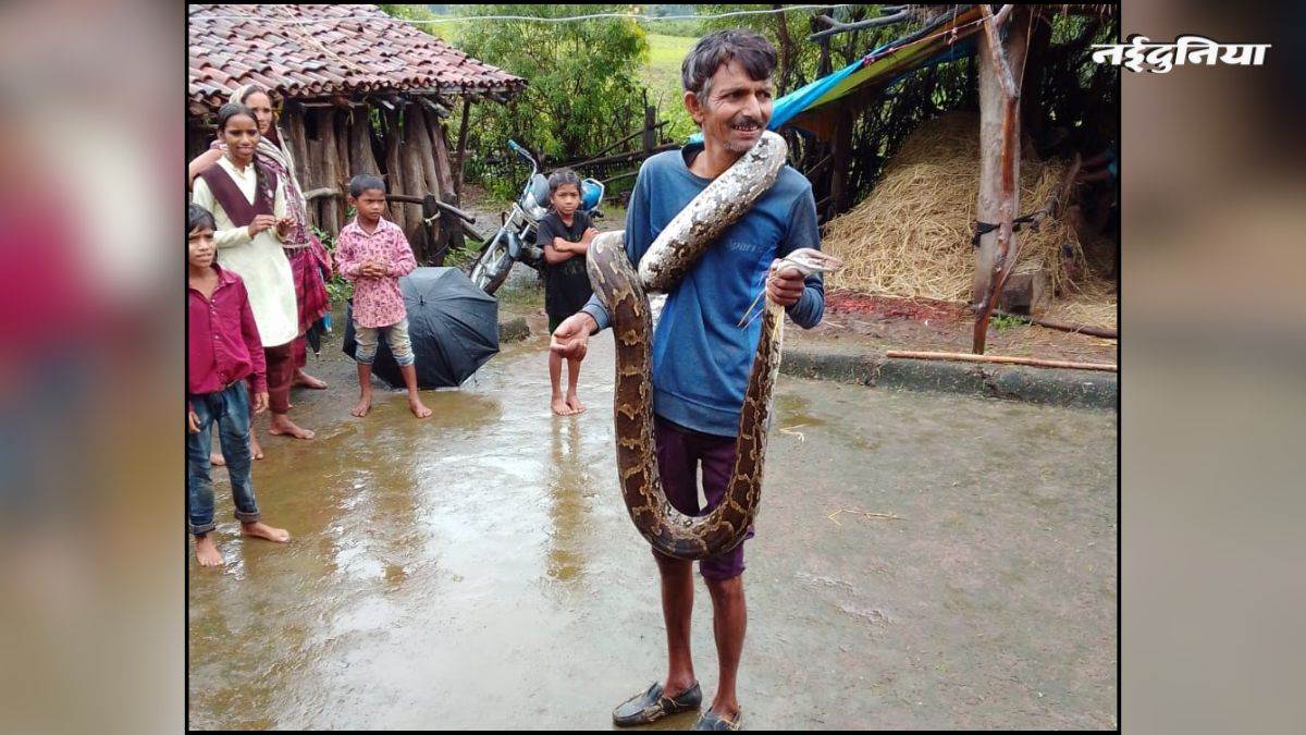 घर के अंदर मिला कई फीट लंबा अजगर, मंजर देख परिजनों और बच्चों के छूटे पसीने, सर्पमित्र ने पकड़कर जंगल में छोड़ा