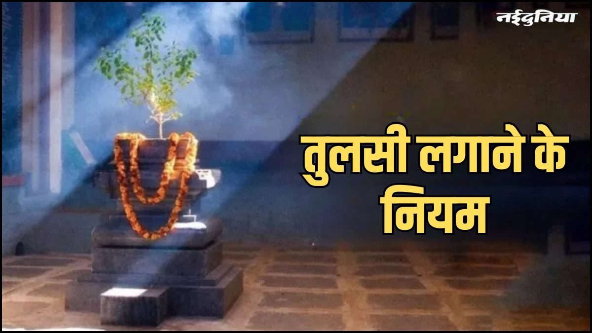 Vastu Tips: इस दिशा में लगाएं तुलसी का पौधा, दिन दोगुनी रात चौगुनी करेंगे तरक्की, होगी धन वर्षा