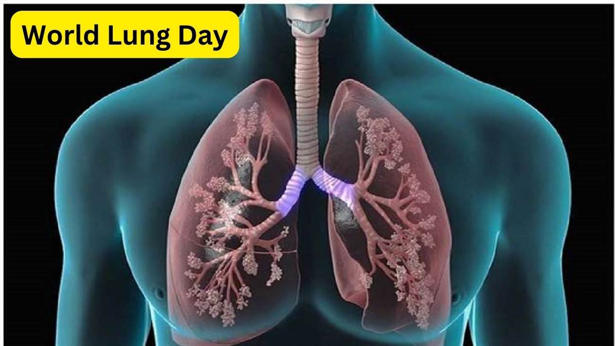 World Lung Day 2023: लंग्स के लिए दवा के समान है किशमिश, टमाटर और सेब ...