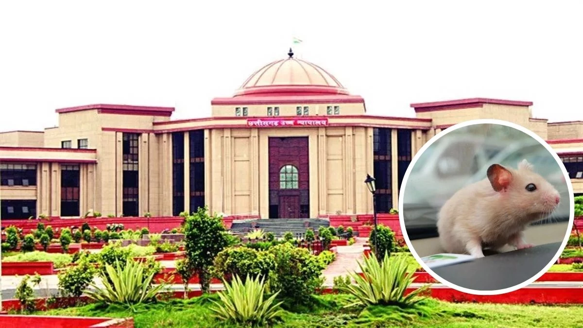छत्तीसगढ़ हाईकोर्ट : ‘पालतू चूहा’ कहकर अपमानित करने वाली पत्नी को तलाक, देना होगा गुजारा भत्ता