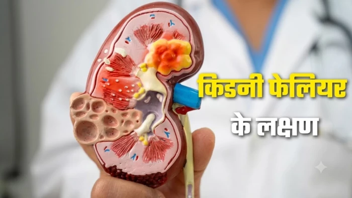 पेनकिलर्स से किडनी फेलियर का खतरा बढ़ा, सुधार के लिए लो-प्रोटीन डाइट अपनाना चाहिए