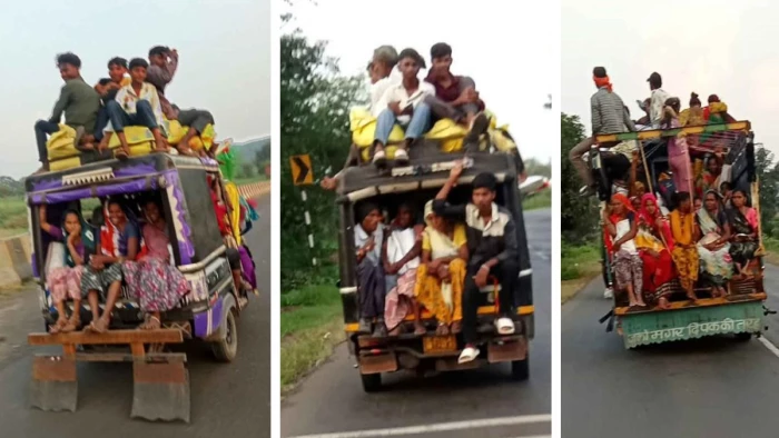 सोयाबीन कटाई के साथ खतरों का सफर शुरू, वाहनों में बैठा रहे क्षमता से अधिक सवारी, श्रमिकों के पलायन से रतलाम के गांव हो रहे खाली