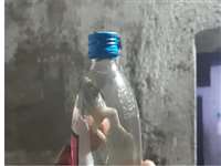 कोरबा जिले में देसी मदिरा दुकान से खरीदे सील पैक शराब की बोतल के अंदर मिला मेंढक