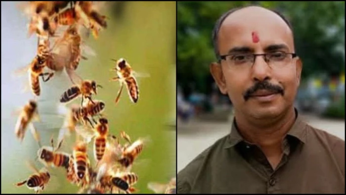 मधुमक्खी के हमले से भाजपा नेता की मौत, इलाज के दौरान तोड़ा दम, इलाके में शोक की लहर