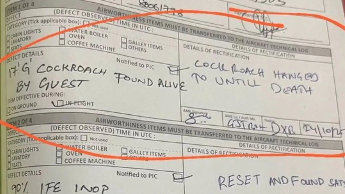 Air India  की दिल्ली-दुबई फ्लाइट में कॉकरोच को मिली ‘फांसी’, सोशल मीडिया पर मचा हंगामा