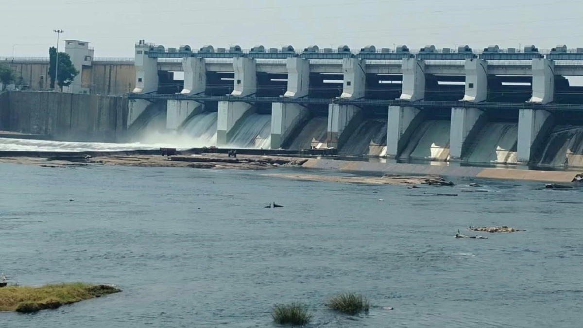 धमतरी के गंगरेल बांध में घटा जलभराव, 21 टीएमसी पानी ही बचा, किसानों की बढ़ी चिंता