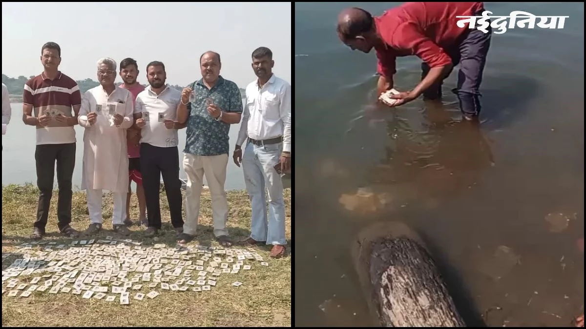 नर्मदा में तैरते मिले इंदौर के सैकड़ों वोटर आईडी, प्रशासन में मचा हड़कंप, कांग्रेस ने लगाया 'वोट चोरी' का आरोप