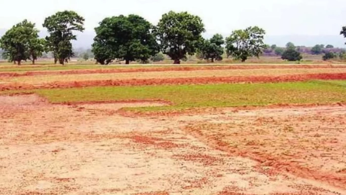 MP में अब अपनी जमीन पर Industrial काम करवा सकेंगे मालिक, 40 करोड़ रुपये तक खर्च करेगी सरकार