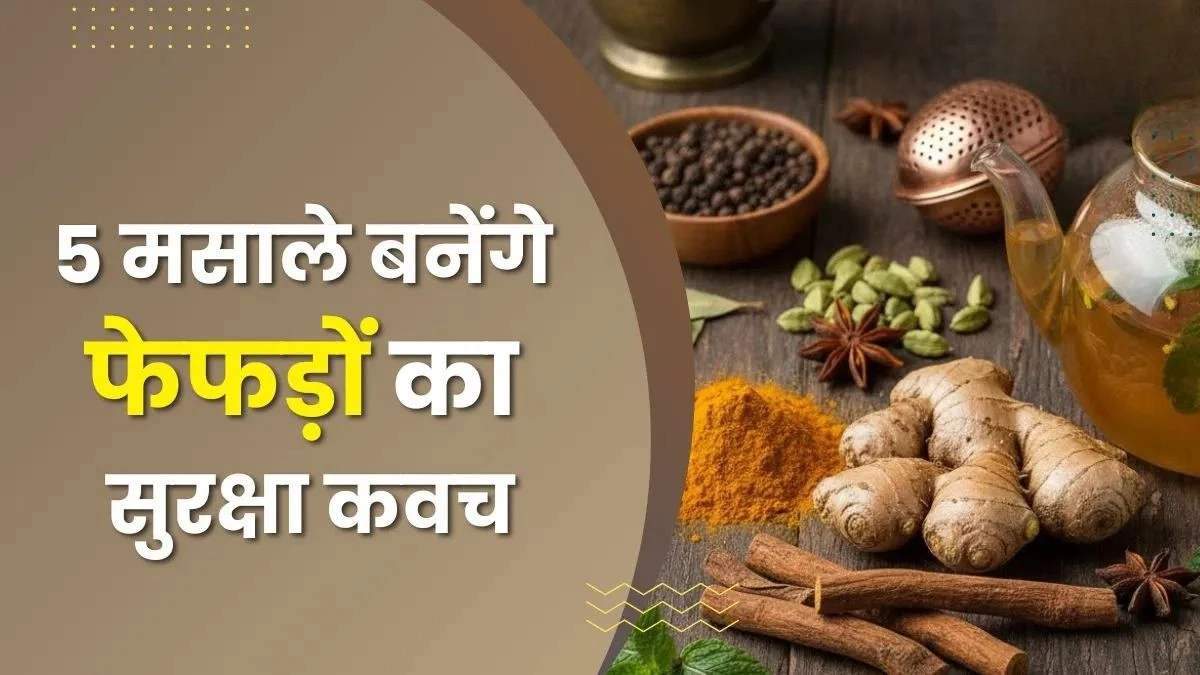 दमघोंटू हवा से फेफड़ों की सुरक्षा करेंगे ये 5 मसाले, बनेंगे शरीर की ढाल