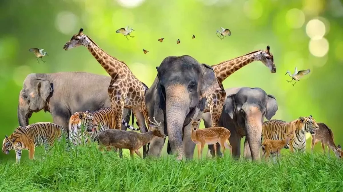 अब छत्तीसगढ़ में वन्य प्राणियों को गोद ले सकेंगे लोग, जल्द ही लागू होगी यह खास योजना