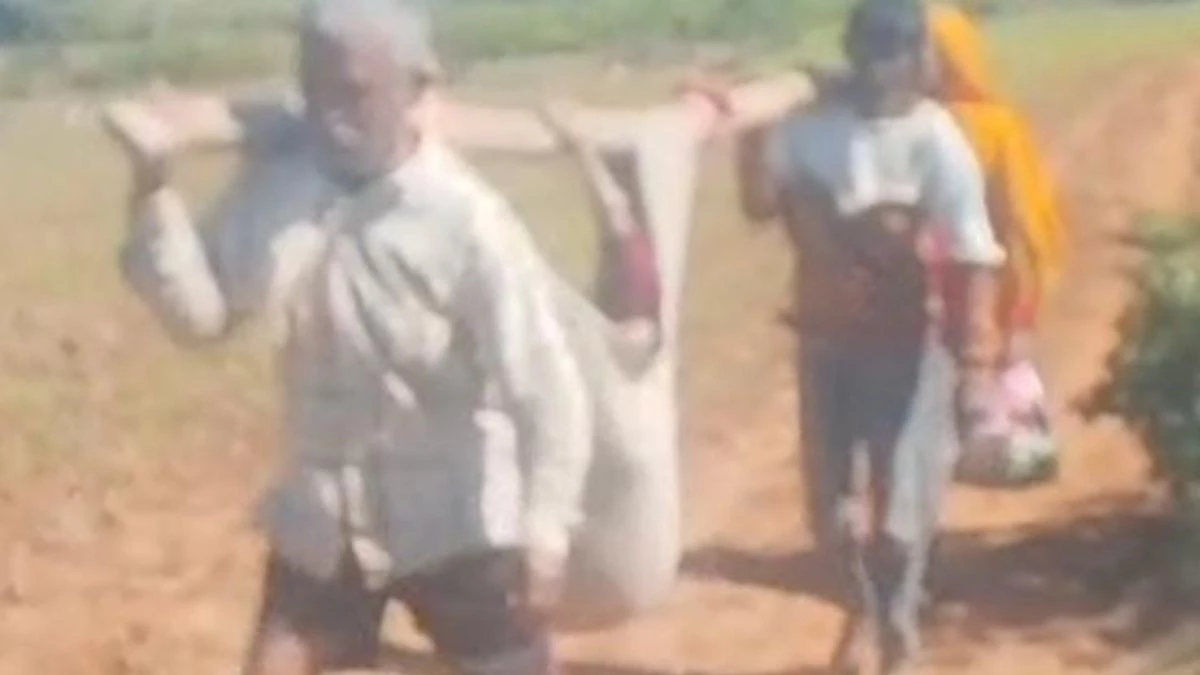 सड़क न होने से झोली बनी एम्बुलेंस... आलीराजपुर में 62 वर्षीय बीमार वृद्धा को कंधे पर लादकर अस्पताल ले गए