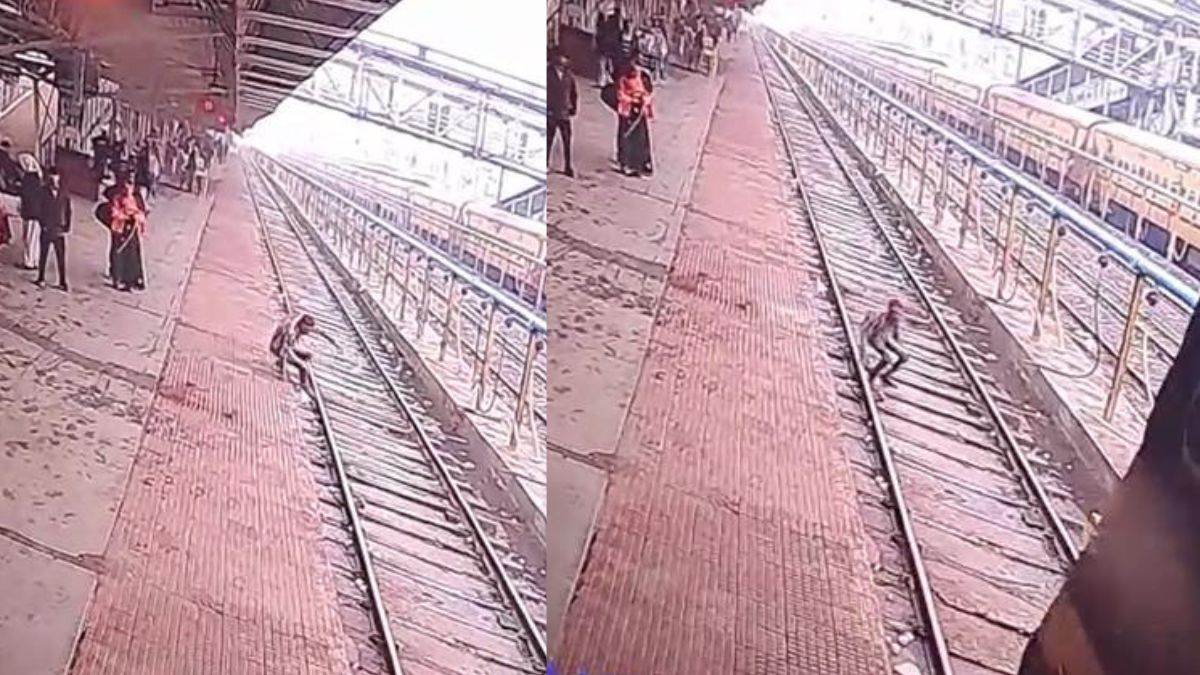 MP News: बीना रेलवे स्टेशन पर आंखों पर पट्टी बांधकर ट्रेन के सामने कूदा युवक