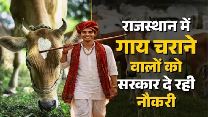 क्या आप चराएंगे गाय? सरकार दे रही है 10 हजार महीना और नौकरी का सम्मान, इस राज्य की है पहल