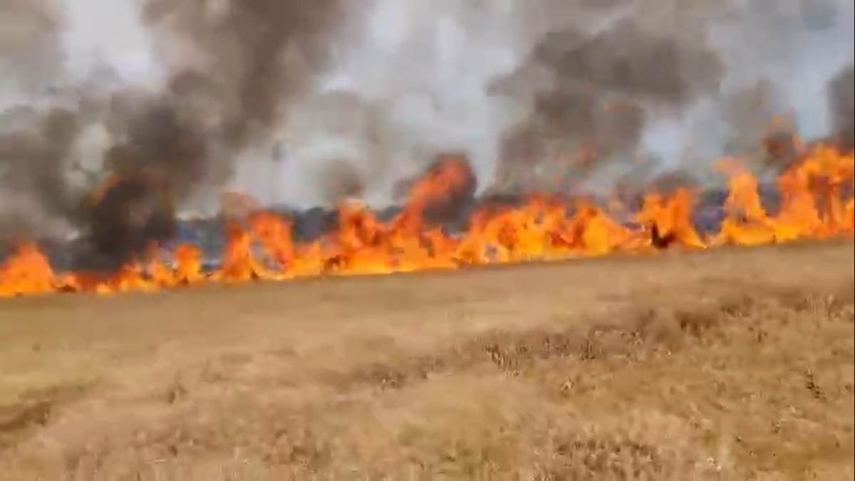 Bhopal News:  गेहूं के खेत में लगी आग, 15 एकड़ की फसल जलकर राख