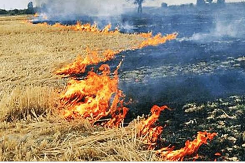 जबलपुर में पराली जलाने वालों पर एफआइआर की तैयारी