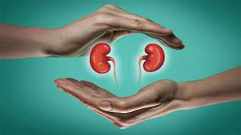 gwalior-health-news-gwalior-health-news