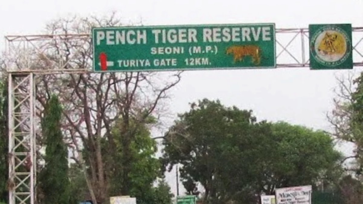 Tiger Death in MP: Tiger's body found in Pench Tiger Reserve of Seoni, Management in investigation
