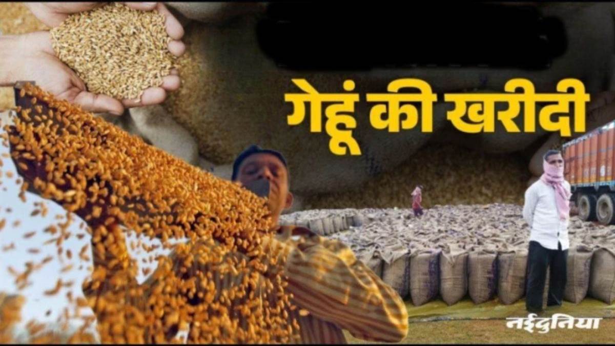 किसानों को बड़ी राहत! शादी और शोक वाले परिवारों का गेहूं पहले खरीदेगी सरकार, MP के इस जिले में प्रशासन का बड़ा फैसला