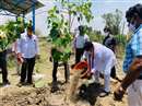 Bhopal News: Family members planted saplings on the death of the oxygen tanker owner